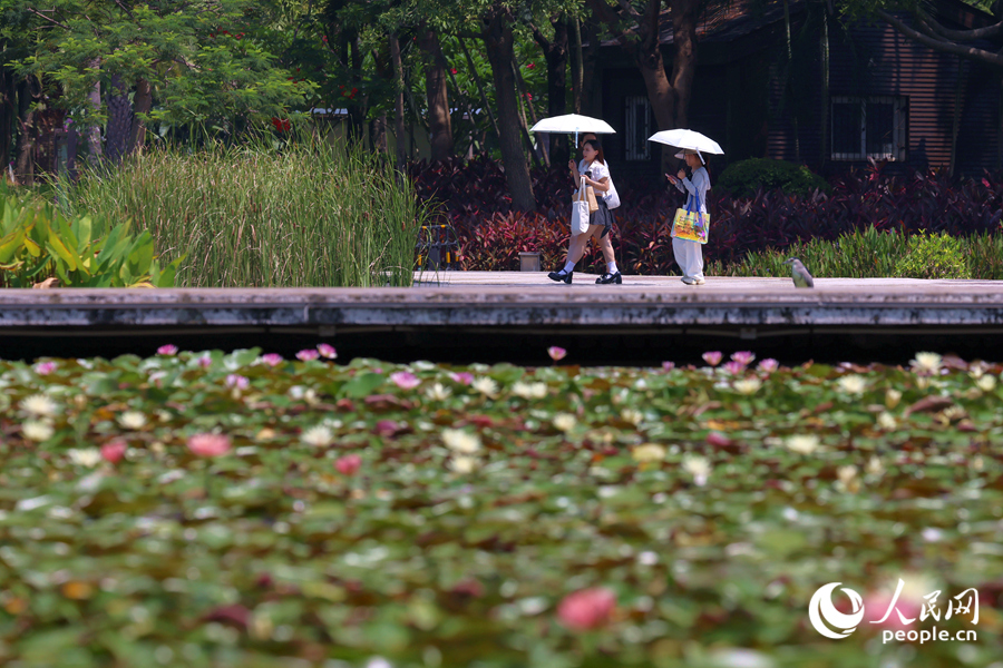 市民游客漫步于蓮池廊道。人民網(wǎng)記者 陳博攝