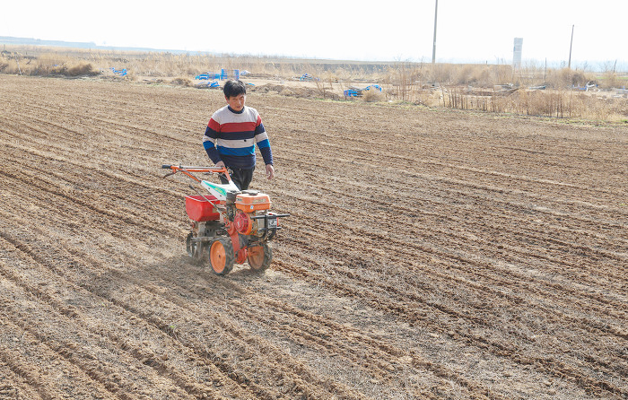萬(wàn)榮:抓緊晴好天氣 搞好藥田春管-45454.jpg 萬(wàn)榮:抓緊晴好天氣 搞好藥田春管-45454.jpg