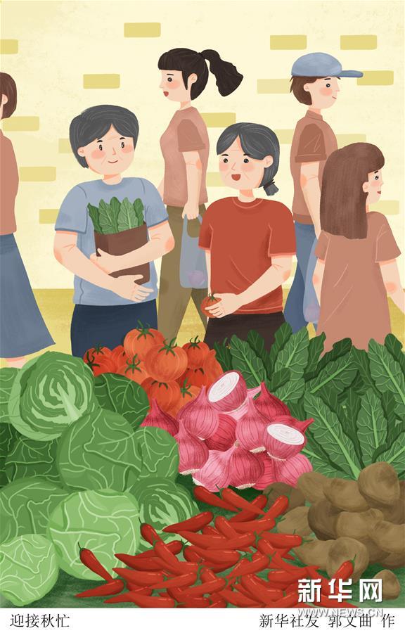 （圖表&middot;插畫(huà)）［二十四節(jié)氣&middot;立秋］迎接秋忙