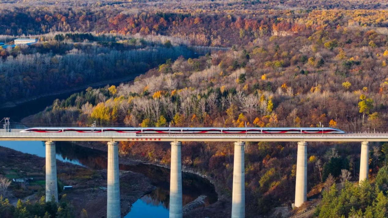 沈白高鐵正式開通運營。受訪方供圖